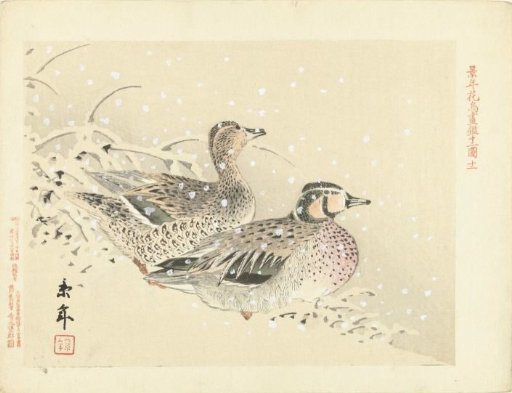 Pair of ducks in the snow