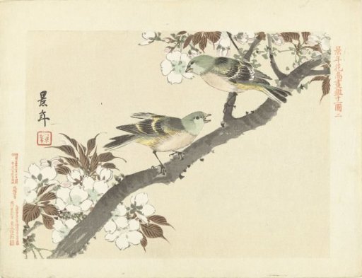 Two green birds on a blossoming branch