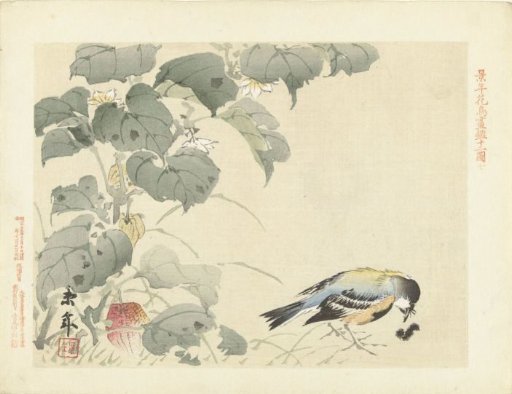 Bird with caterpillar