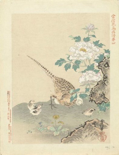 Quail with chicks