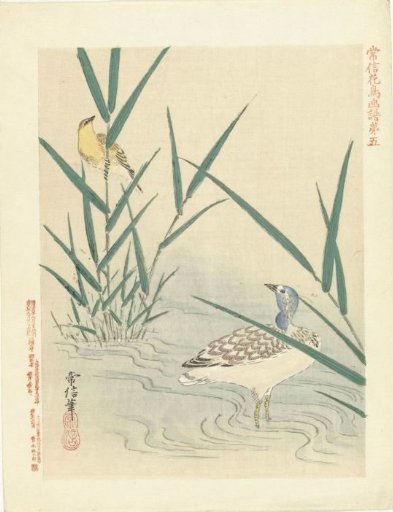 Waterbird looking at a yellow songbird
