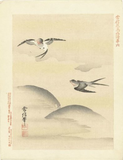Two swallows