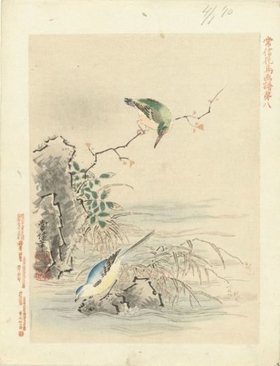 Kingfisher looking at a bird by the water