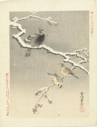 Three birds on a snow-covered branch
