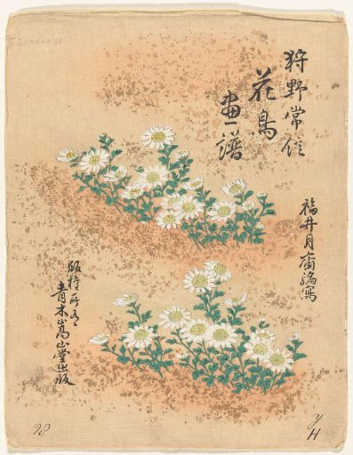 Flower and bird sketches by Kano Tsunenobu