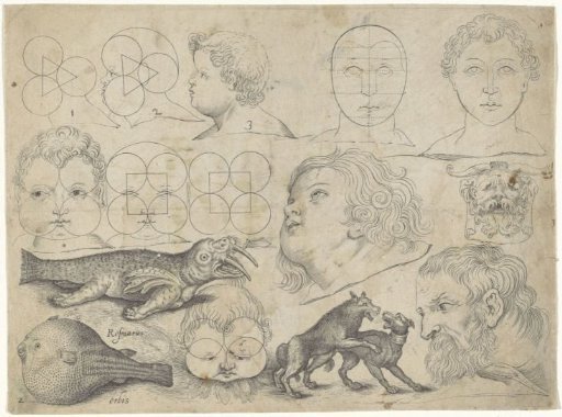 Study Sheet with Drawing Examples: Figures, Animals