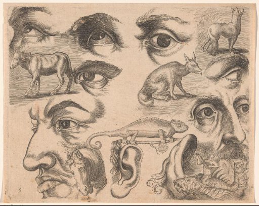 Study Sheet with Drawing Examples: Eyes, Heads, and Animals