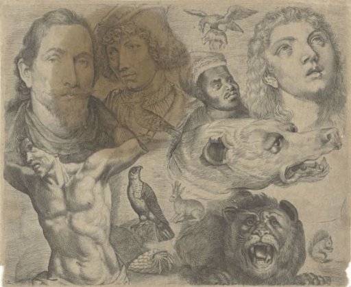 Study Sheet with Drawing Examples: Heads, Torso, and Animals