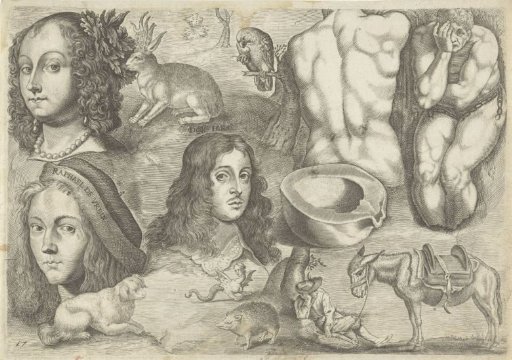 Study Sheet with Drawing Examples: Heads, Animals, Figures
