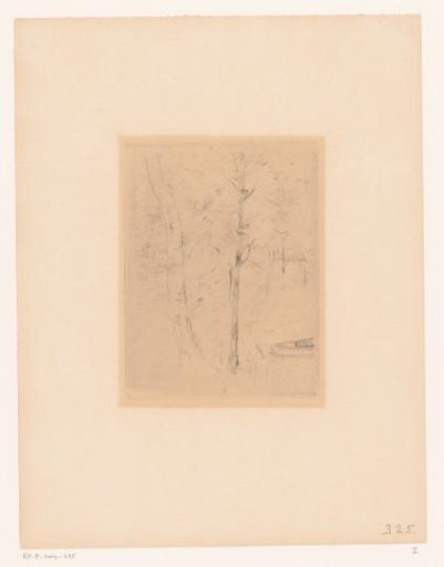 Trees by a Pond in the Bois de Boulogne in Paris