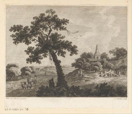 Landscape with cattle