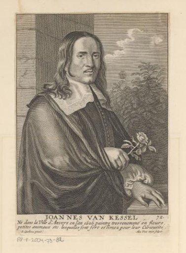 Portrait of Jan van Kessel I