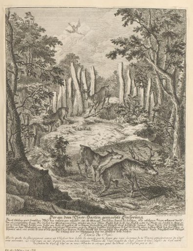 Two Does and Two Stags in a Forest