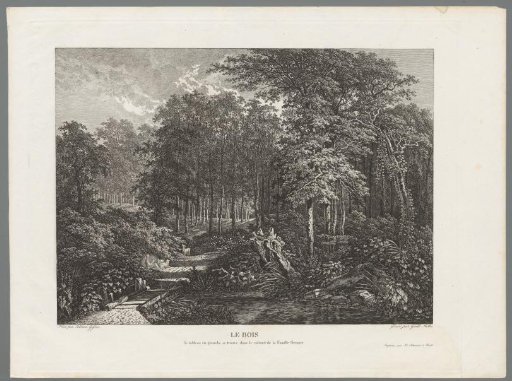 Wooded landscape with a wooden bridge over a stream