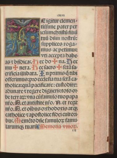 Initial T (Zahltafel) with an owl and a border decoration of grapes and leaf motifs