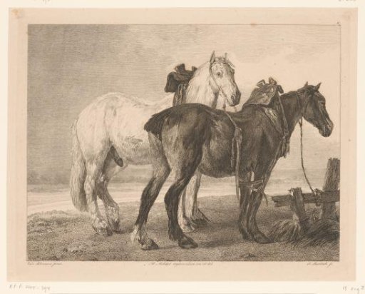 Two horses in a river landscape