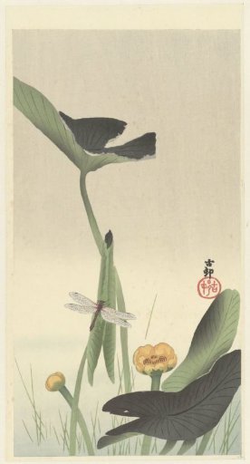 Libelle en lotus