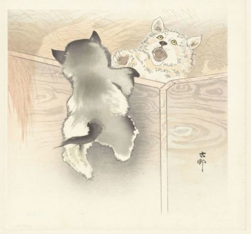 Two playing puppies
