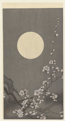 Blooming plum blossoms under a full moon