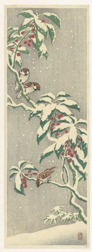 Sparrows on a snow-covered berry bush