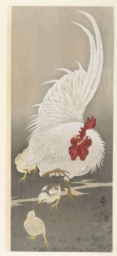 Rooster and Three Chicks