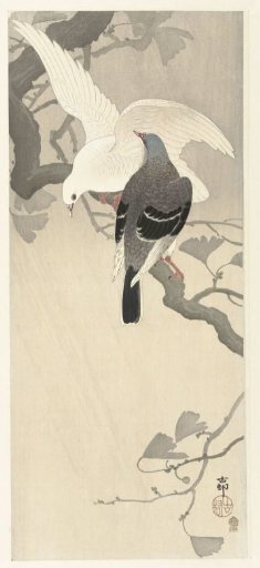 Two Doves on a Branch