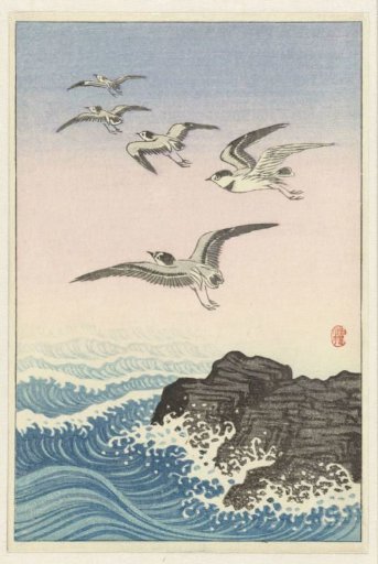 Five Gulls Above a Rock in the Sea