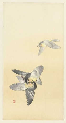 Two Fighting Birds