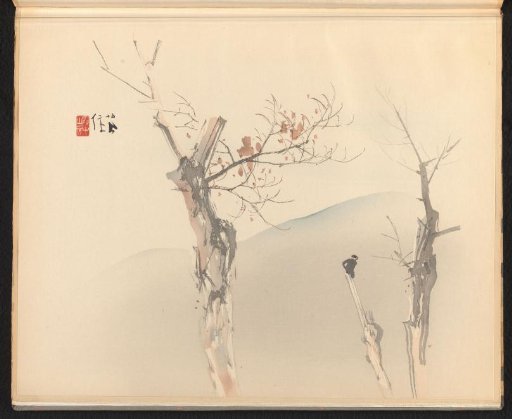 Lone Monkey on a Bare Tree