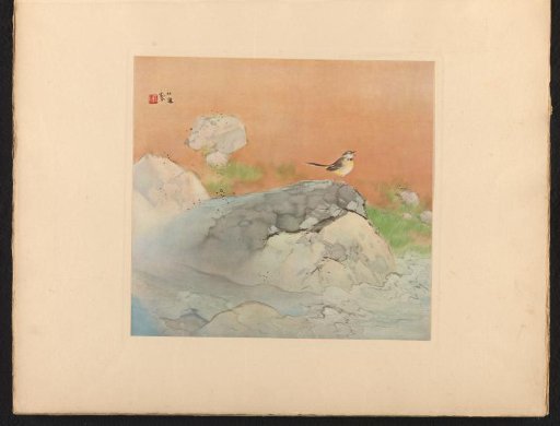Bird on a Rock