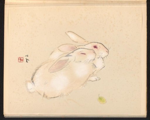 Rabbits