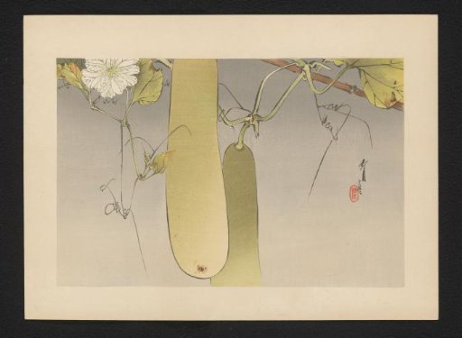 Two Gourds