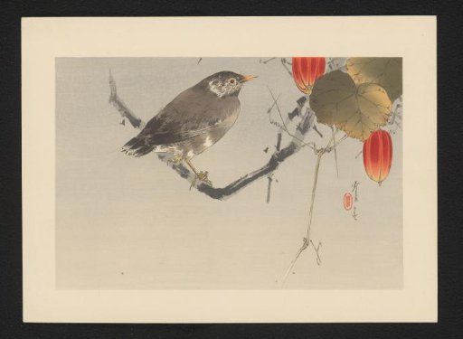 Bird on a Branch Near Two Red Fruits