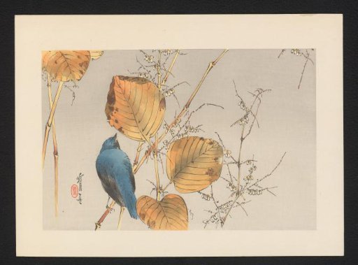 Blue Bird on a Branch