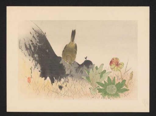 Bird on a Rock Near a Plant