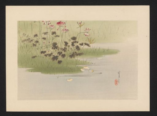 Waterfront with Red Clover