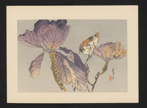 Bird on a Branch with Purple Leaves