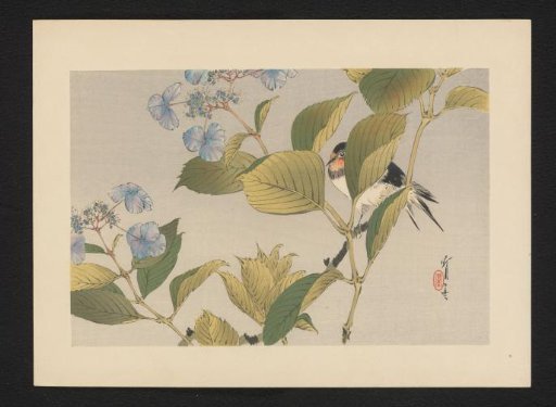 Swallow on a Blossoming Branch with Blue Berries