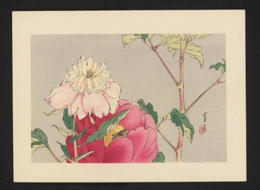 Peonies with a Bee