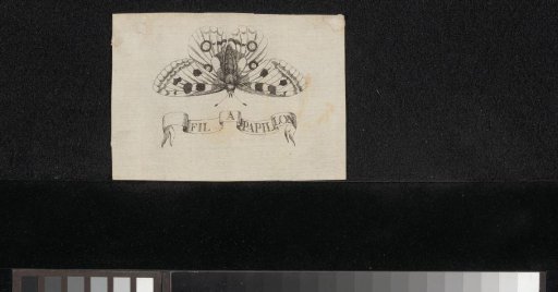 Butterfly with text 'Fil a papillon'
