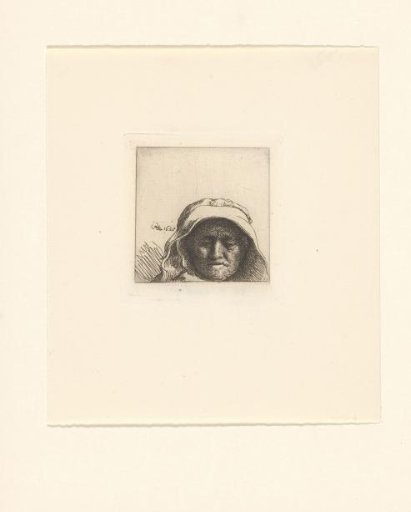The artist's mother: head only, full face