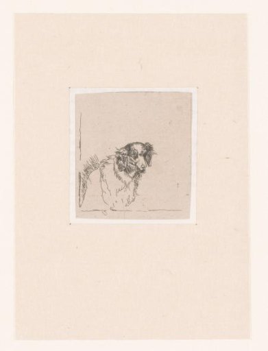 Head of a Dog