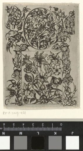 Cosse-de-pois and Floral Ornaments in an Oval and a Rectangle
