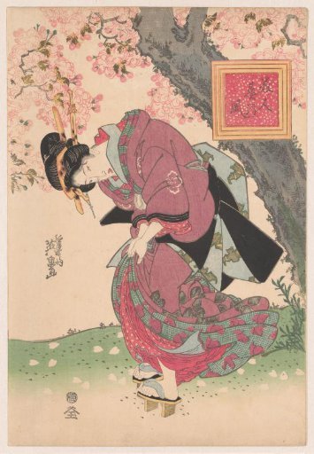Beauties in a Spring Storm