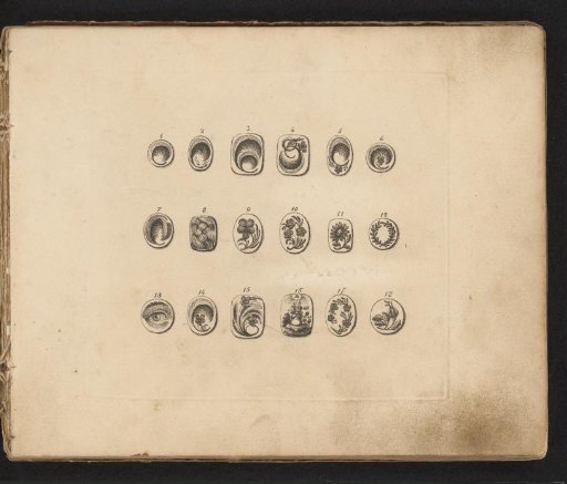 Eighteen Examples of Hair Medallions and Mourning Jewelry