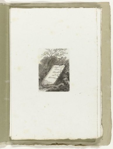 Forest view with a book and etching needle