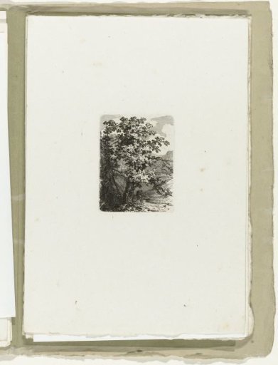 Walker in a mountain landscape