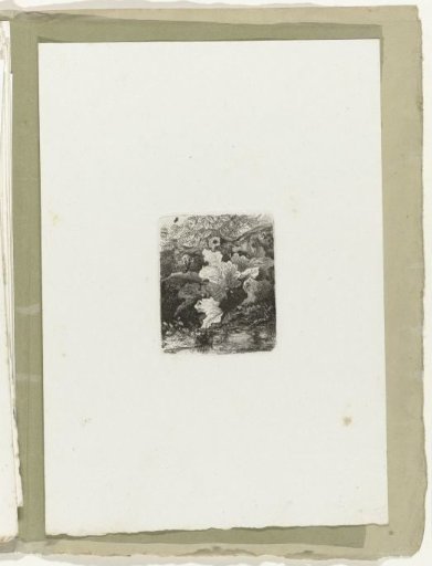Plants and insects along a stream