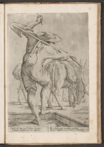 Donkey driver with his flock