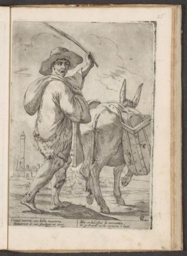 Man driving a donkey